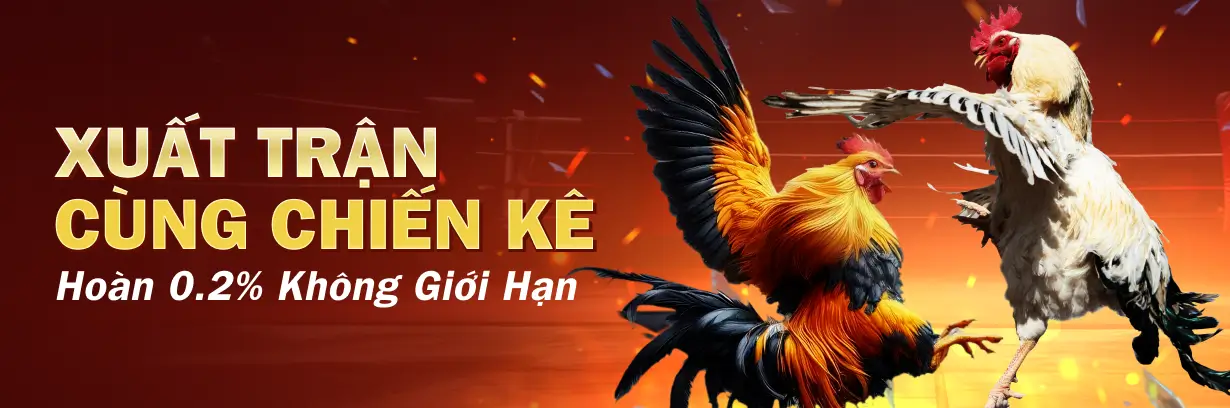 Đặt Cược Đá Gà, Nhận Hoàn Trả 0.2% CO88