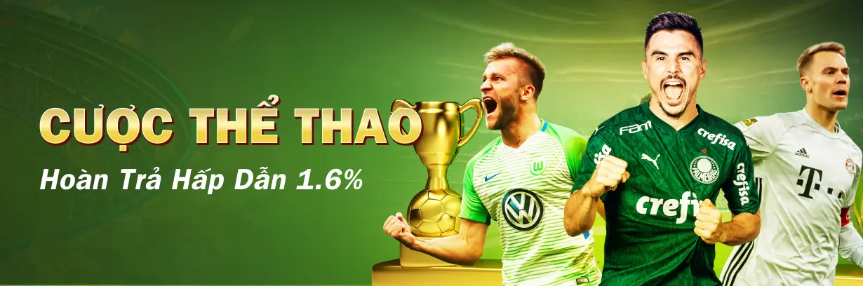 Hoàn Trả Thể Thao 1.6%, Không Yêu Cầu Vòng Cược CO88