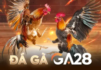 Đá Gà GA28 CO88