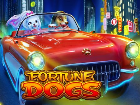 Fortune Dogs CO88
