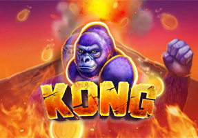 Kong CO88