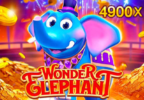 Wonder Elephant CO88