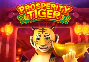Prosperity Tiger CO88