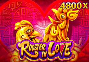 Rooster In Love CO88