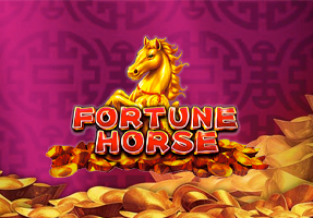 Fortune Horse CO88