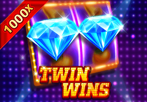 TWIN WINS CO88