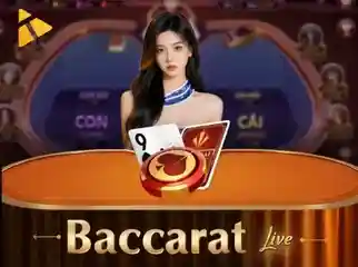 Baccarat Live CO88
