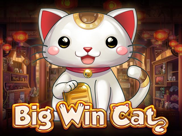 Big Win Cat CO88